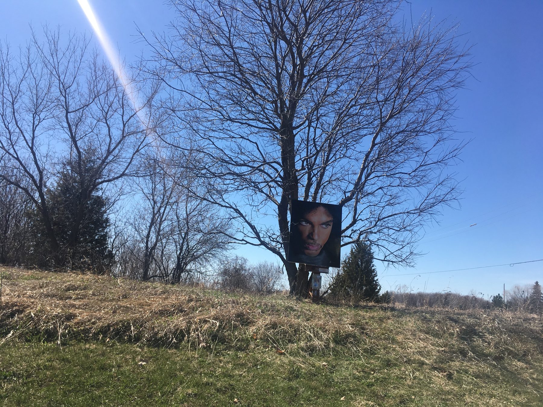 A framed portrait of Prince hanging in a leafless tree against a blue sky. Still from Dearly Beloved.